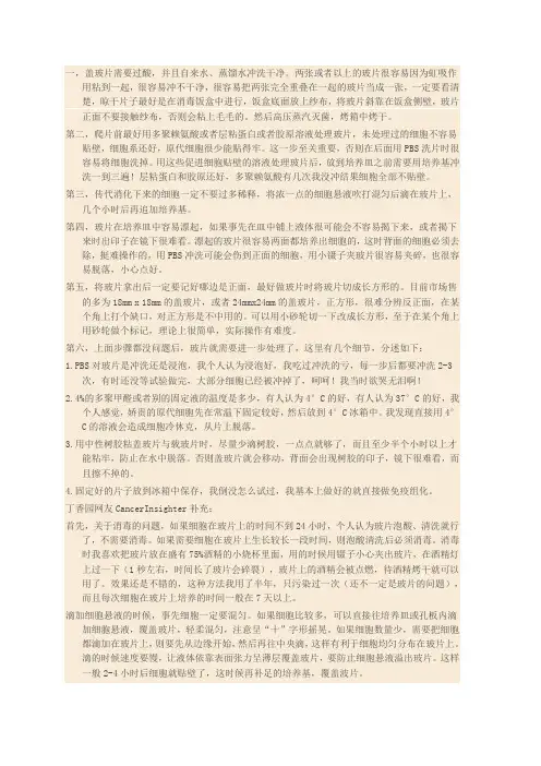 细胞爬片
