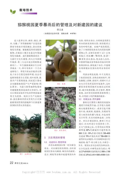 猕猴桃园夏季暴雨后的管理及对新建园的建议