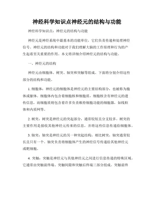 神经科学知识点神经元的结构与功能
