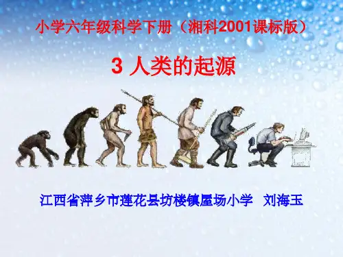 小学六年级湘教版科学下册《3-人类的起源》PPT课件