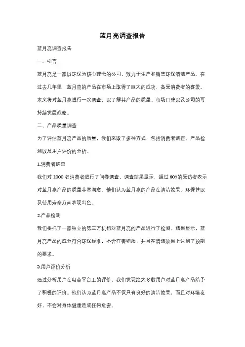 蓝月亮调查报告