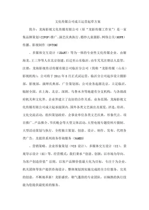 文化传媒公司成立运营起草方案