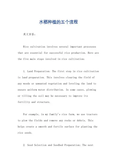 水稻种植的五个流程
