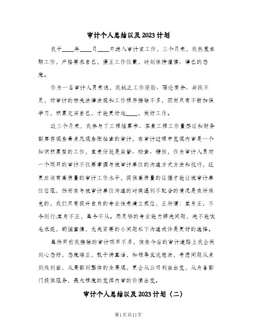 审计个人总结以及2023计划(5篇)