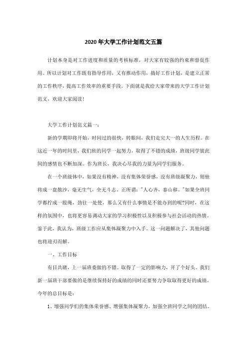 2020年大学工作计划范文五篇