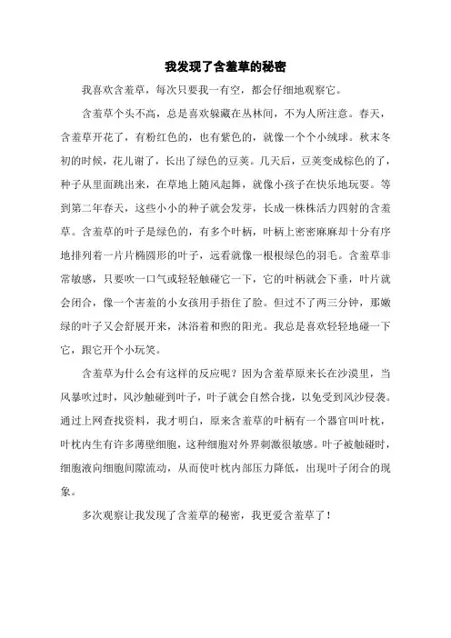 我发现了含羞草的秘密