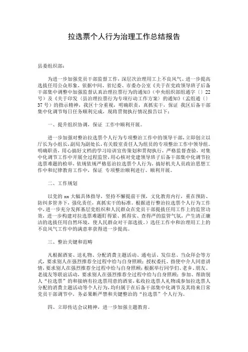 拉选票个人行为治理工作总结报告