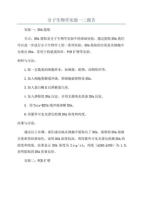 分子生物学实验一二报告