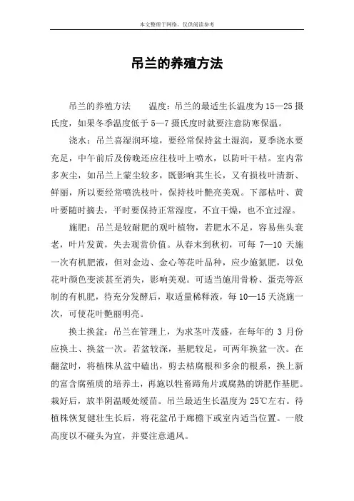 吊兰的养殖方法
