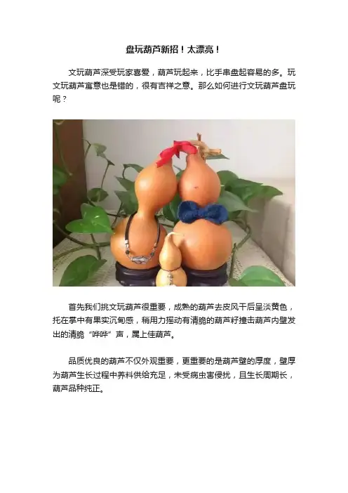 盘玩葫芦新招！太漂亮！