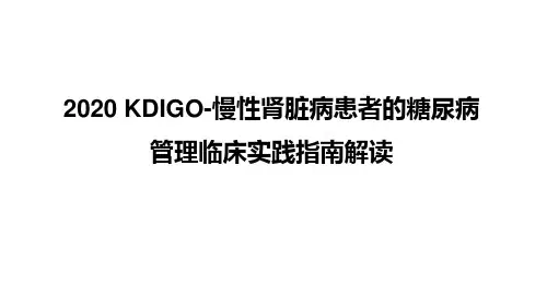 2020年KDIGO糖尿病糖尿病管理临床实践指南解读精选全文