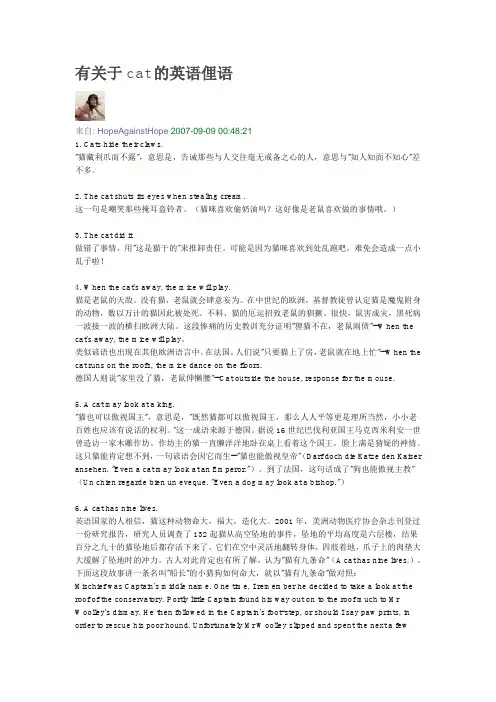 有关于cat的英语俚语