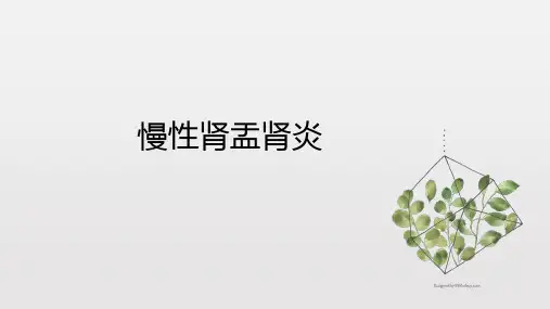 慢性肾盂肾炎