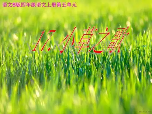 17《小草之歌》PPT课件