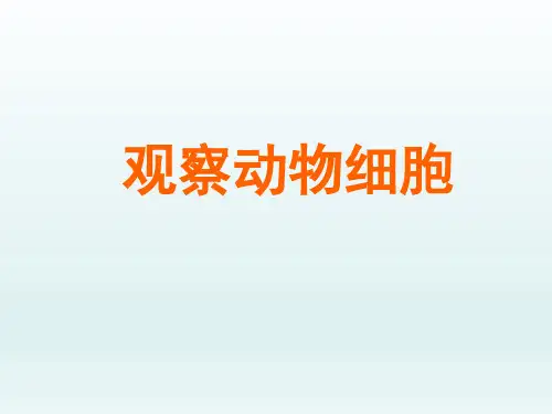 人教课标版初中七年级生物课精品PPT教学课件-观察动物细胞