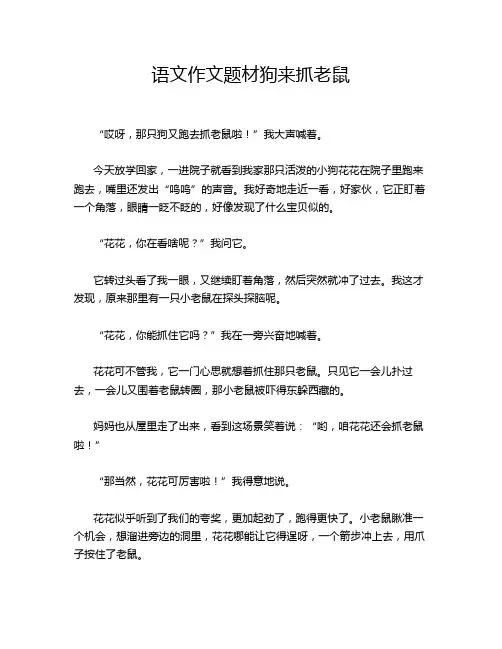 语文作文题材狗来抓老鼠