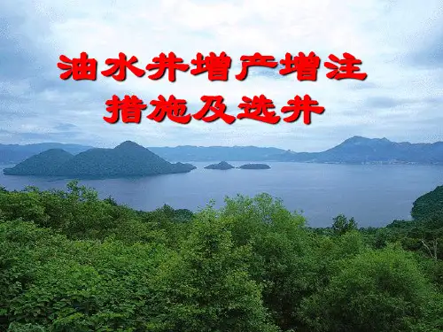 油水井增产增注措施及选井PPT课件