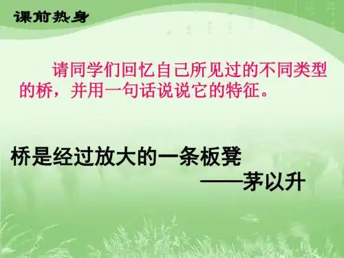 人教2014版语文八上：《中国石拱桥》课件2