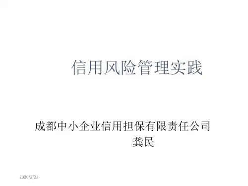 信用风险管理实践ppt课件