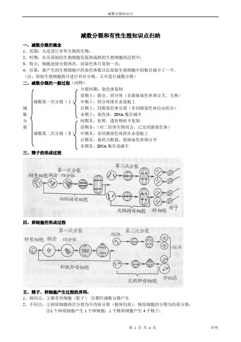 (完整版)减数分裂知识点归纳