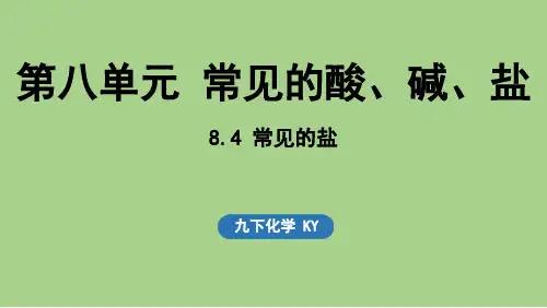 8.4 常见的盐(课件)科粤版(2024)化学九年级下册