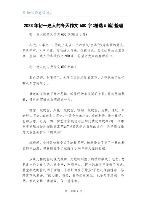 2023年初一迷人的冬天作文600字(精选5篇)整理