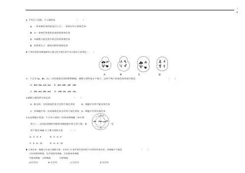 有丝分裂与减数分裂过程图及练习