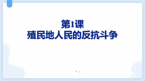 《殖民地人民的反抗斗争》PPT课件