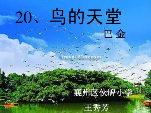 《鸟的天堂》ppt课件