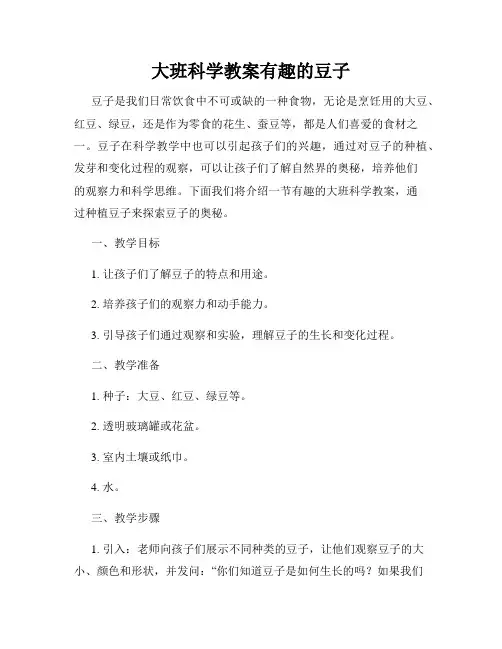 大班科学教案有趣的豆子