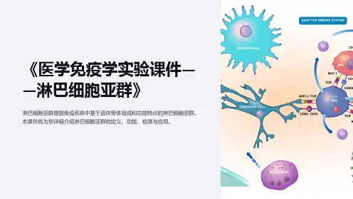 《医学免疫学实验课件——淋巴细胞亚群》