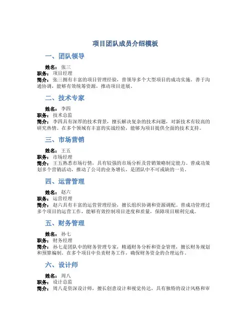 项目团队成员介绍模板八个