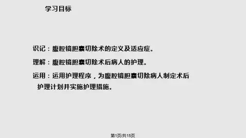 腹腔镜胆囊切除术后病人护理PPT课件