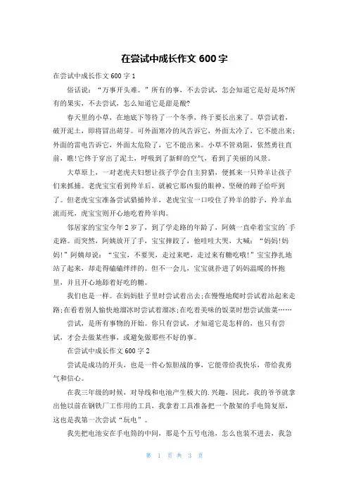 在尝试中成长作文600字