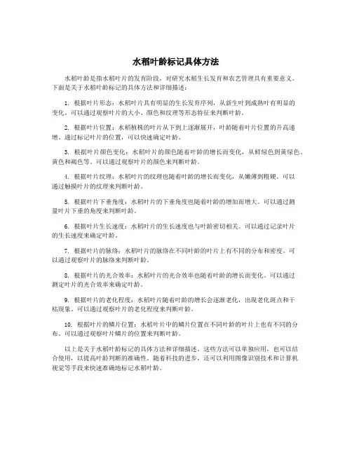 水稻叶龄标记具体方法