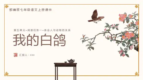 部编版七年级语文上册第五单元阅读任务一体会人与动物的关系《我的白鸽》PPT课件