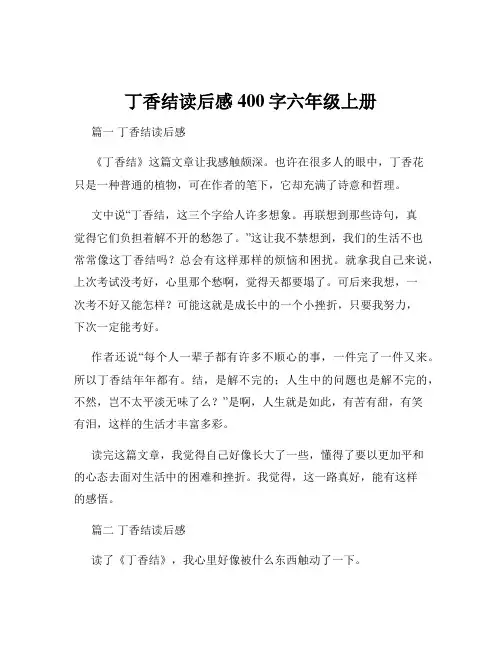 丁香结读后感400字六年级上册