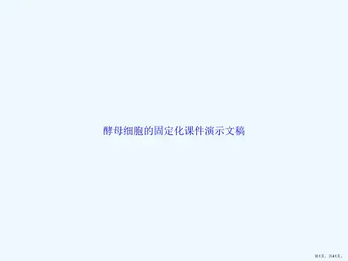 酵母细胞的固定化课件演示文稿