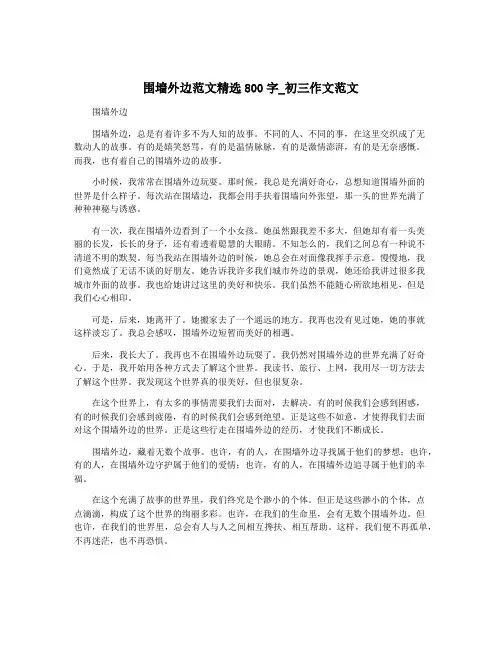 围墙外边范文精选800字_初三作文范文