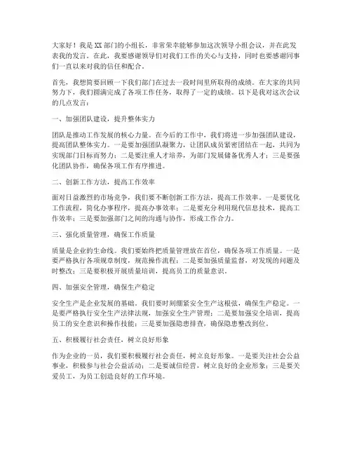 领导小组参会发言稿