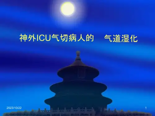 《气道湿化方法》课件