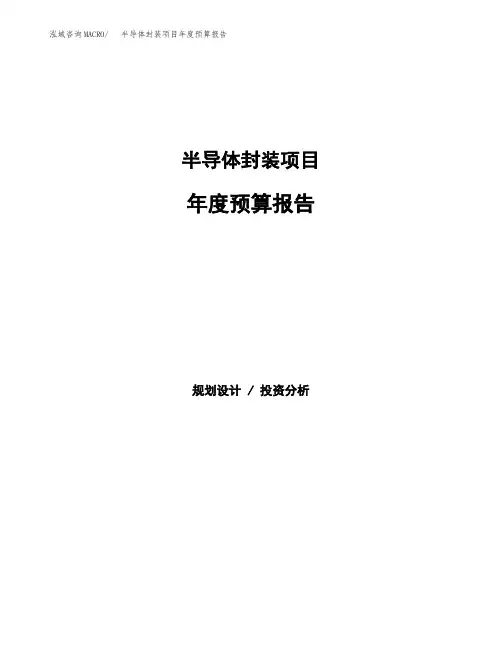 半导体封装项目年度预算报告