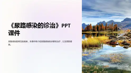 《尿路感染的诊治》课件