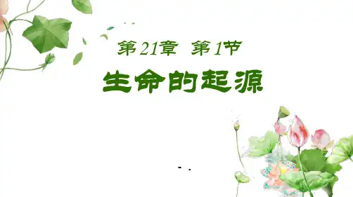 《生命的起源》PPT优秀课件