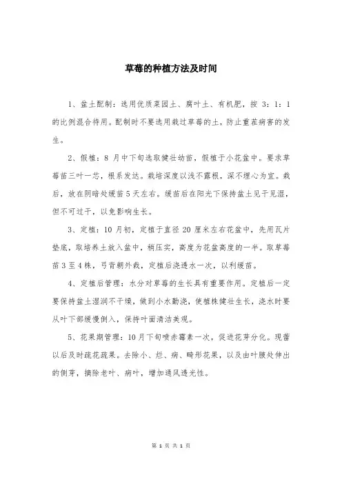 草莓的种植方法及时间