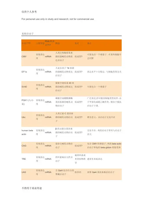 常见真核启动子及原核启动子特点
