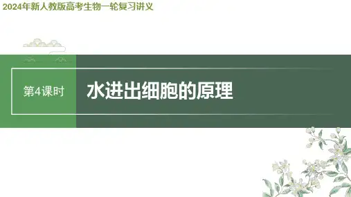 2024年新人教版高考生物一轮复习讲义  第2单元 第4课时 水进出细胞的原理