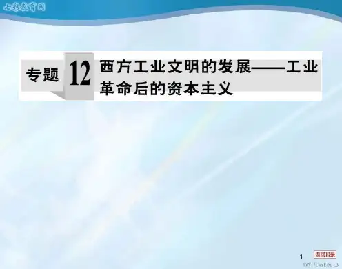 2014高考历史复习课件：专题14西方工业文明的发展(精)