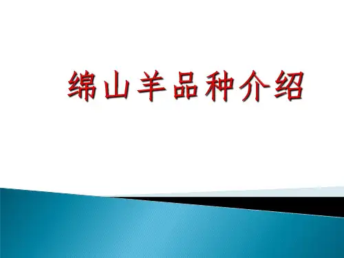 羊品种介绍
