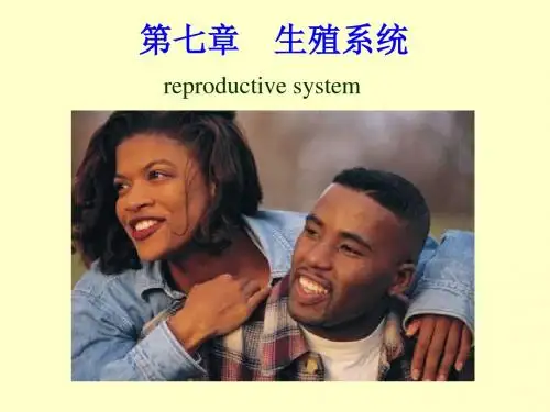 5第五章生殖系统 PPT课件